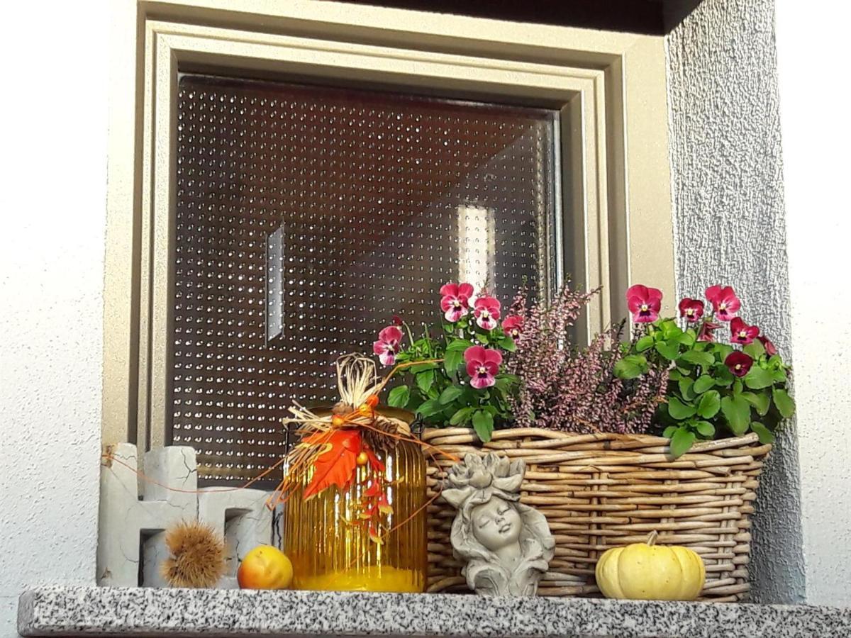 Ferienwohnung Am Gaesschen لوسهايم المظهر الخارجي الصورة